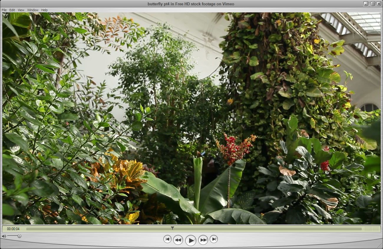 QuickTime 7.7 : This window shows how QuickTime makes a good job playing full HD videos