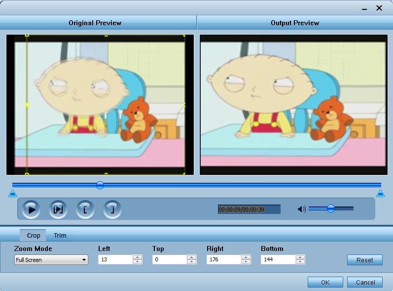 Anyviewsoft Video Converter 3.2 : File preview
