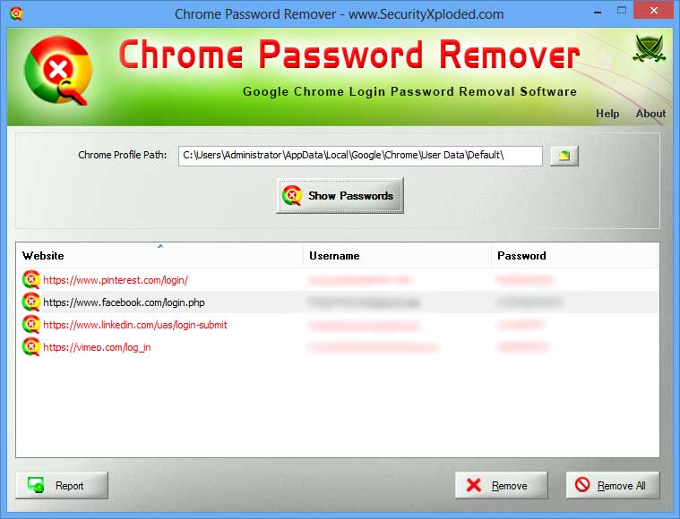 Chrome Password Remover 1.0 : Main Window