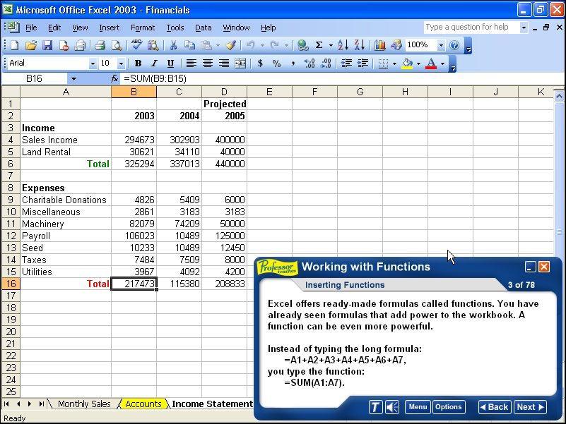 Professor Teaches Excel 2003 1.0 : Inserting Functions