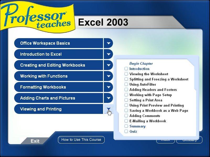 Professor Teaches Excel 2003 1.0 : Main window