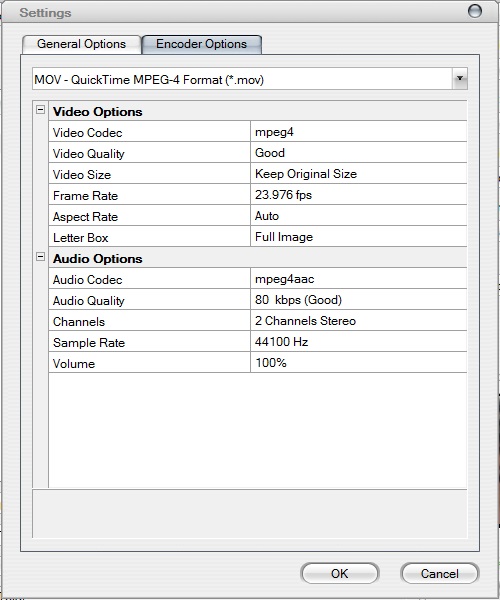 FLV to AVI MPEG WMV MP4 iPod Converter 6.1 : Settings Dialog