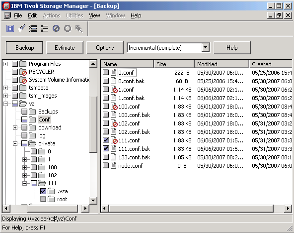 IBM Tivoli Storage Manager 6.3 : main screen