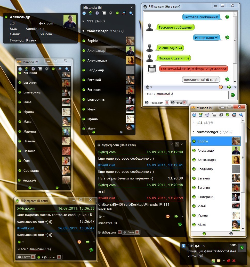 Miranda IM 111 Pack 0.9 : screen-shot
