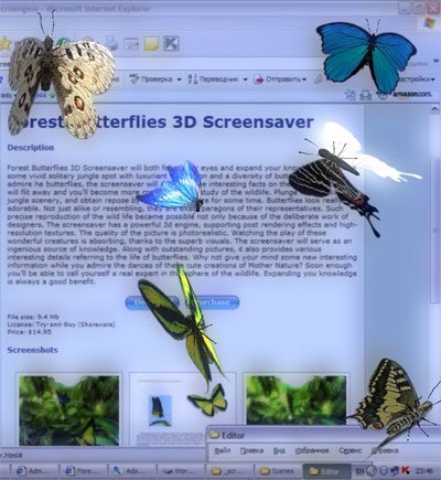 Desktop Butterflies 3D Screensaver : Main Window