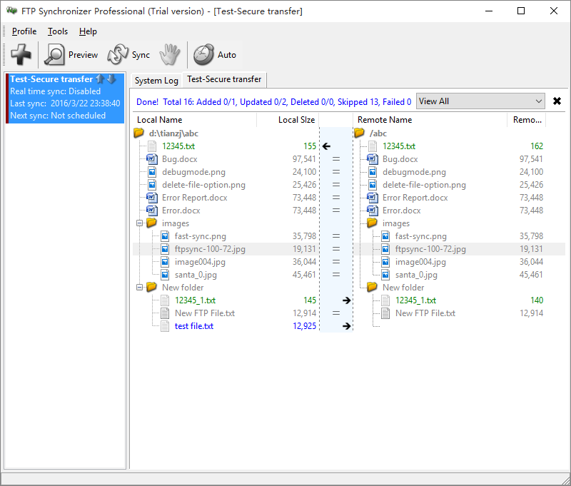 FTP Synchronizer 8.0 : Main window