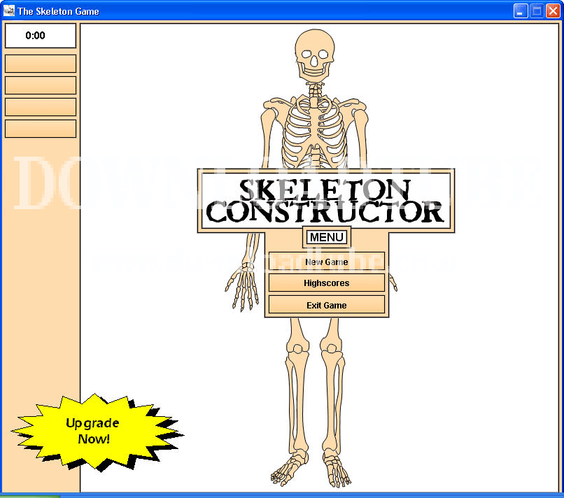 Skeleton Constructor 1.2 : Main Window