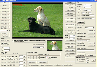 VISCOM Image Viewer CP Pro SDK ActiveX 9.5 : Main Window