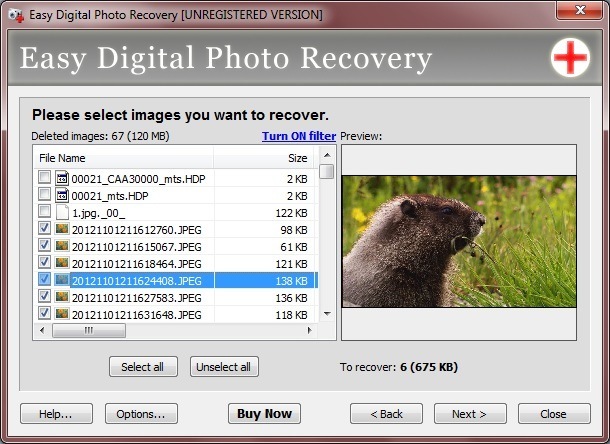 Easy Digital Photo Recovery 3.0 : Recoverable Files