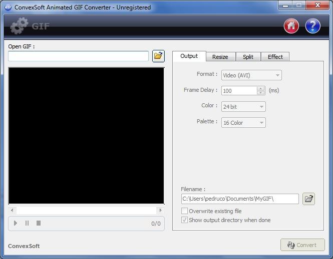 Convexsoft Animated GIF Converter 2.4 : Main Screen