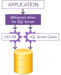 dbExpress driver for SQL Server 6.6 : Main Window