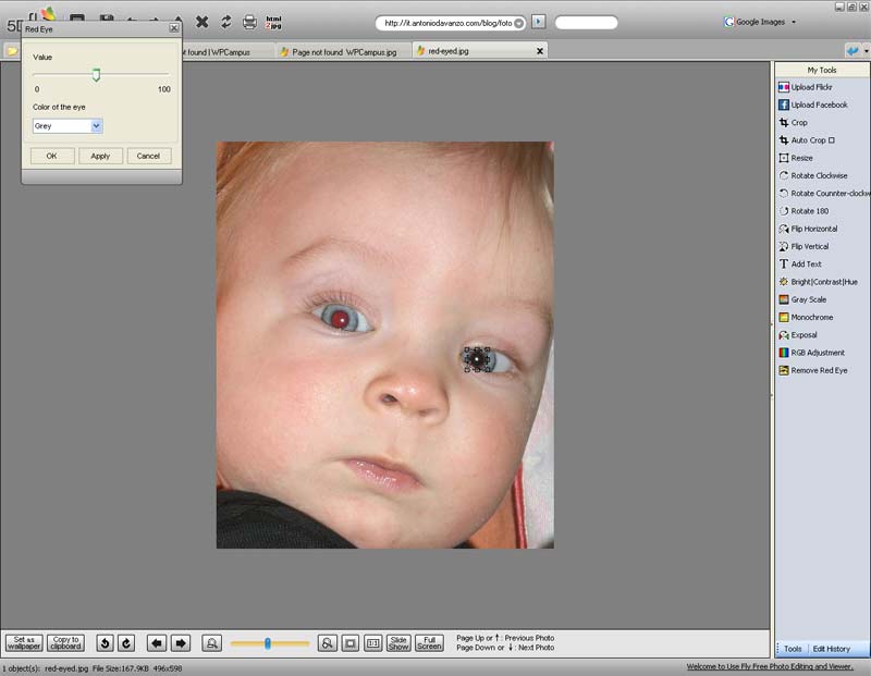 Fly Free Photo Editing & Viewer 2.9 : The program has a useful red-eye effect removal tool