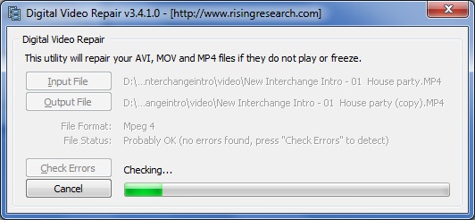 Digital Video Repair 3.4 : Checking Errors