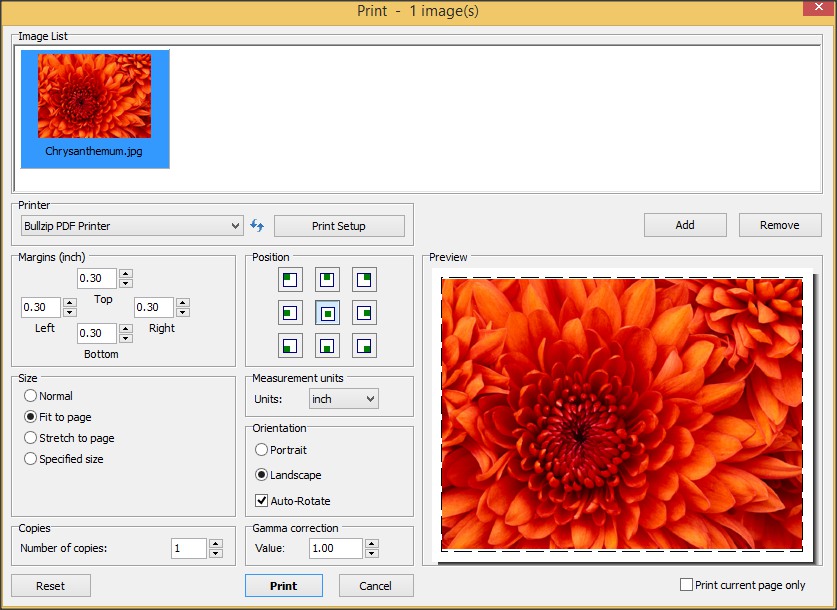 FastStone MaxView 3.1 : Print Image Window