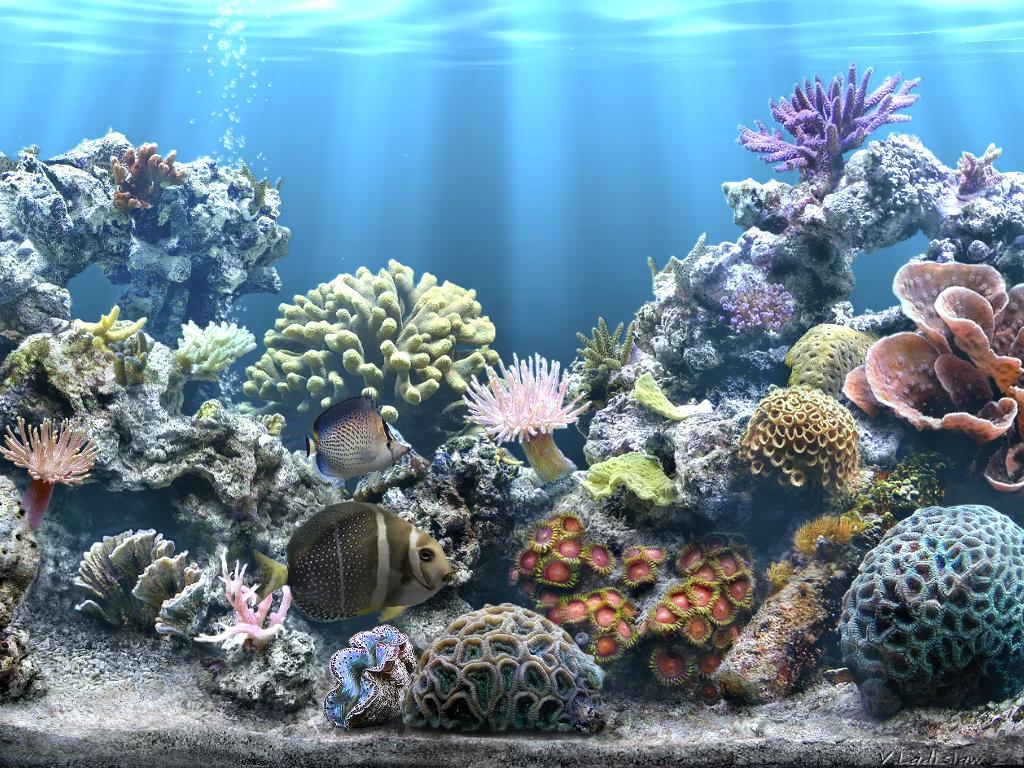 Sim Aquarium 2.6 : Screensaver