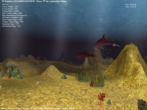 3D Dolphins 2.8 : Underwater world
