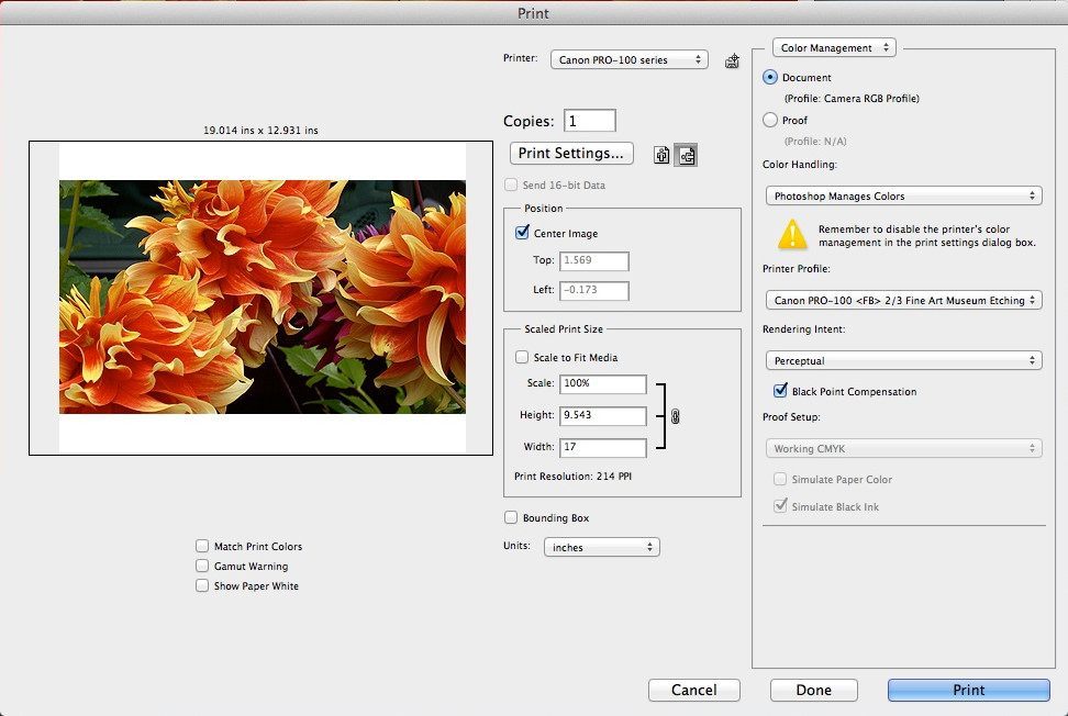 Canon Print Studio Pro 1.1 : Printing Options Window