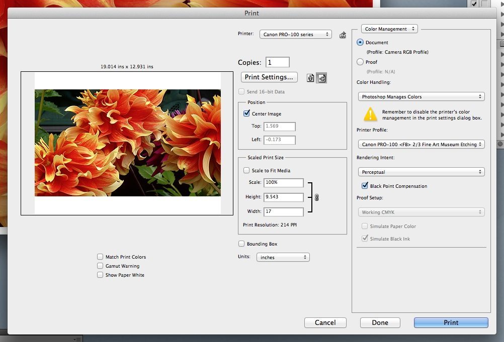 Canon Print Studio Pro 1.3 : Print Studio