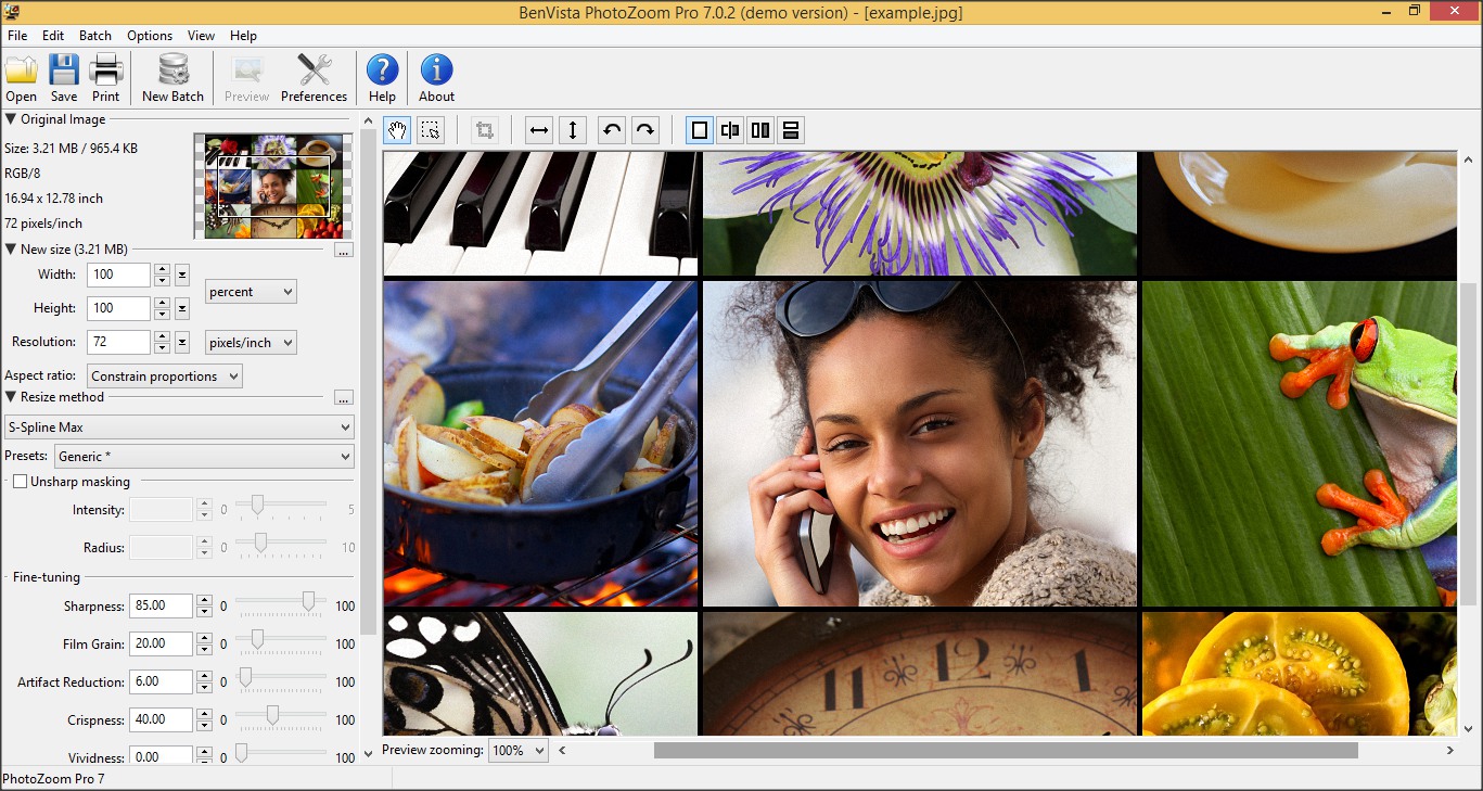 BenVista PhotoZoom Pro 7.0 : Main Window