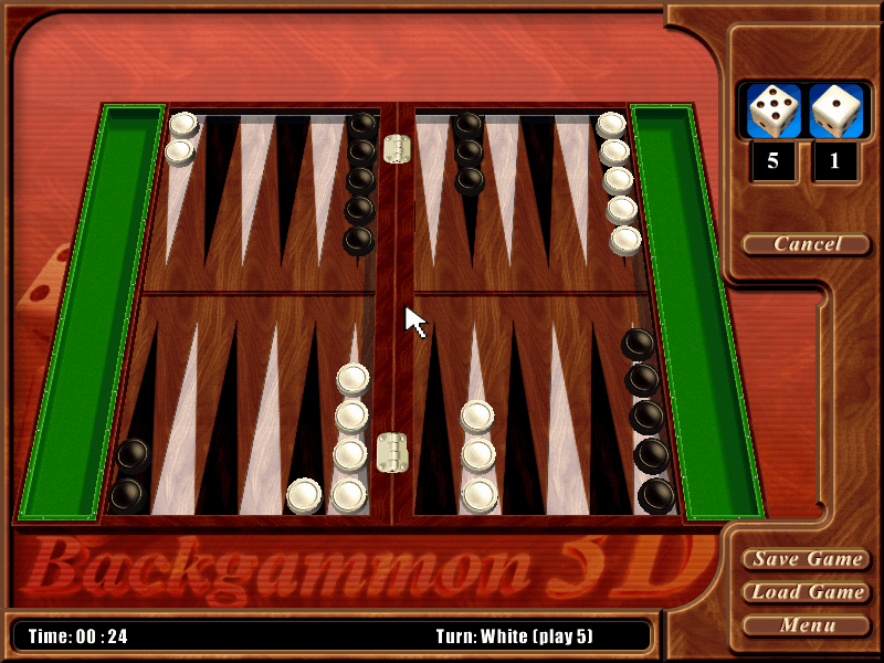 Real Backgammon 1.0 : Playing