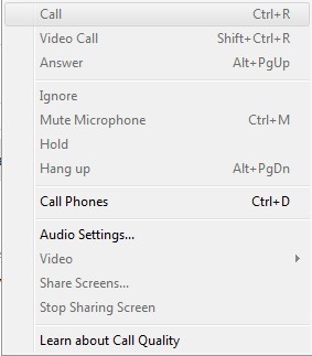 Skype 6.1 : Call Settings