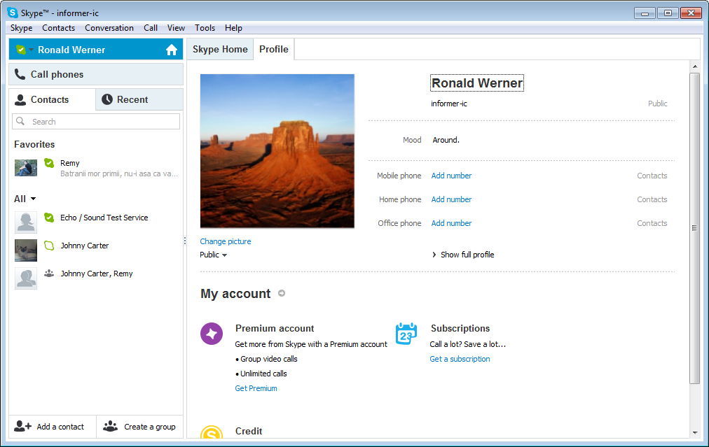 Skype 6.2 : Profile Window