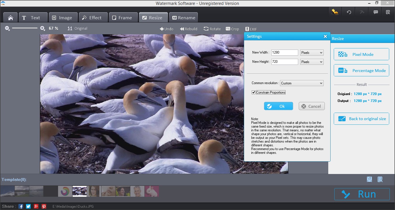 Watermark Software 8.2 : Resize Section