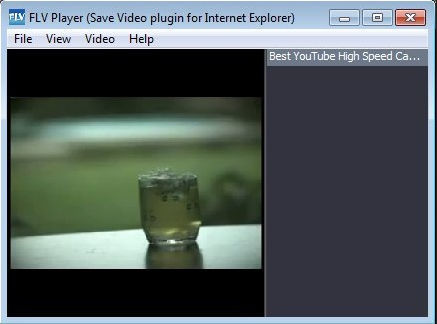 Save Video plugin for IE 5.1 : Main window