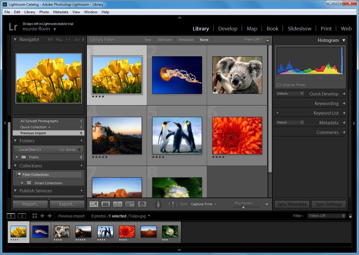 Adobe Photoshop Lightroom 6.0 : Library Window