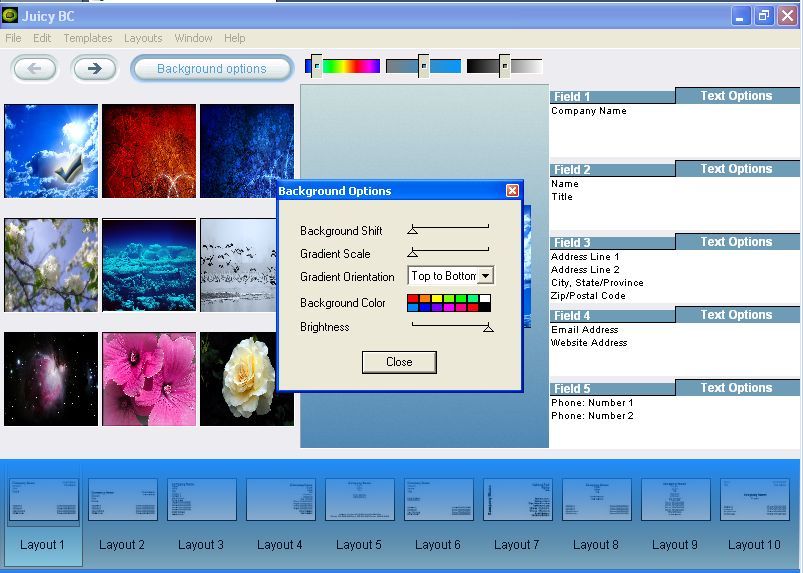 Juicy Business Cards 1.6 : Background options