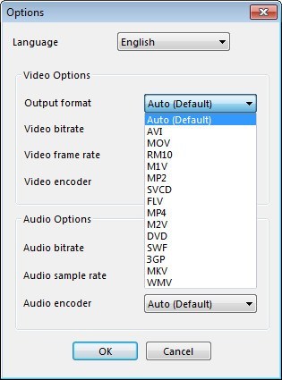 Video Watermark Maker 1.1 : Choosing Output Formats