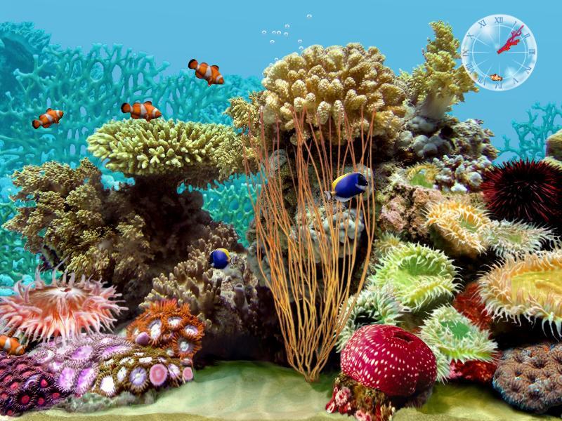 3D Tropical Fish Aquarium Screensaver Software Informer: Screenshots