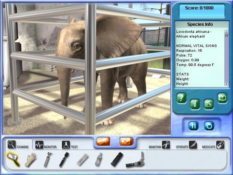 veterinarian games for kids online