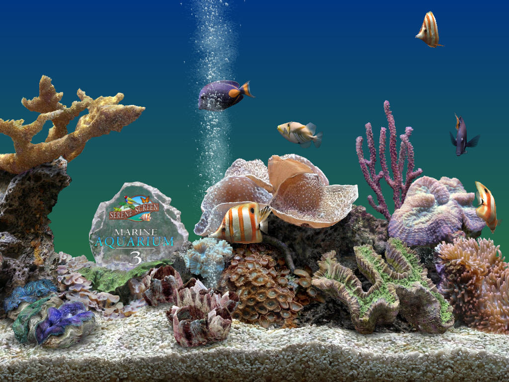 3d marine aquarium 3.6.1