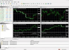 Trade245 MetaTrader Terminal 4.0 Download - terminal.exe