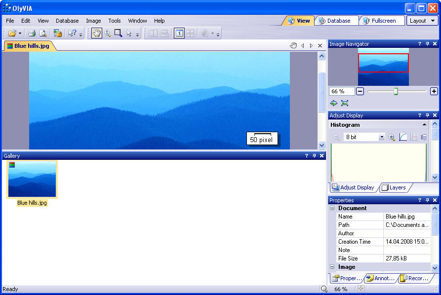 Olympus olyvia software download dx11 feature level 10.0 valorant download