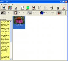 qsr nvivo 11 for windows