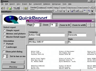 Quick reports delphi