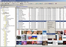 prodiscover download for mac