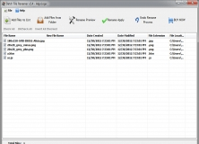 File Renamer - Basic 6.3 Download (Free) - FileRenamer.exe