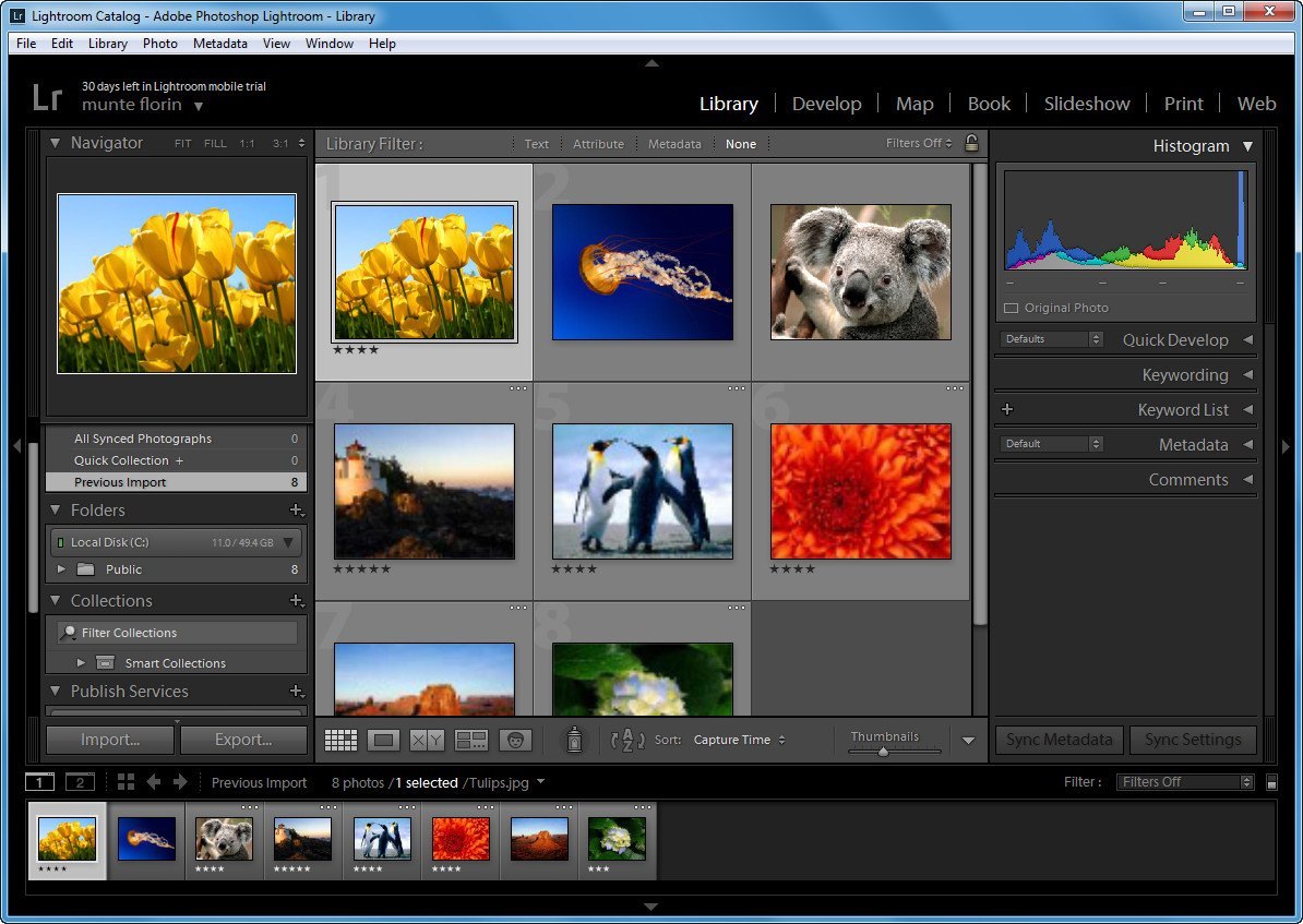 lightroom for mac free trial download