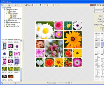 SCARICARE PHOTOSCAPE 3.5
