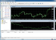 FXCM MetaTrader 4.0 Download (Free) - terminal.exe