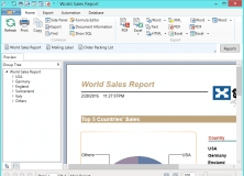 crystal reports 2013 download free full version