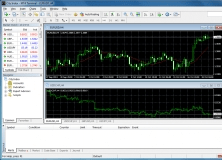 Maxrich Group MT4 Terminal 4.0 Download - terminal.exe