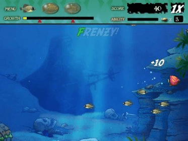 Fish Frenzy Xp