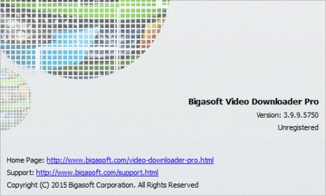 Bigasoft Video Downloader Pro Software Informer It Allows You To