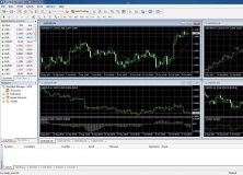 Download Topic Markets MT4 by Topic Markets Limited