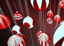Winter Wonders