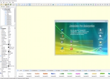 beltone solus software download